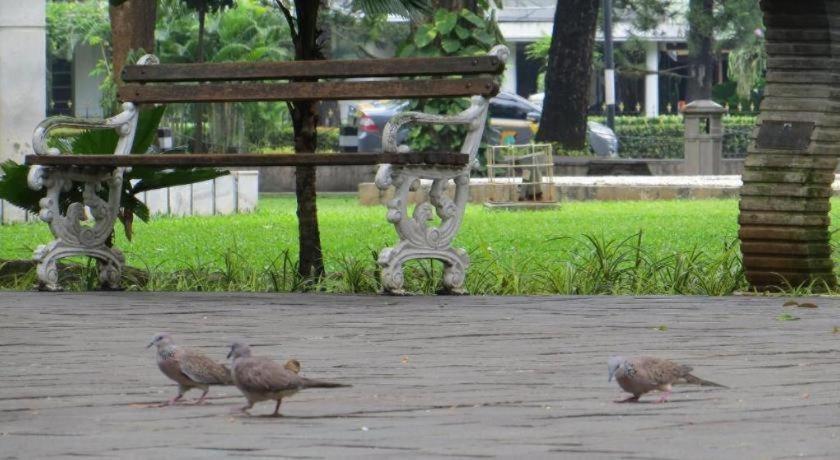 Sofyan Tebet Family Friendly Hotel